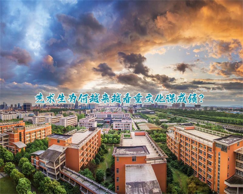 _艺术生学文化课的重要性_注重文化课的艺术类院校