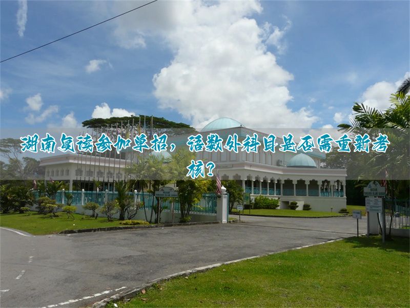 湖南语数外单招考试题2020_湖南单招复读学校_
