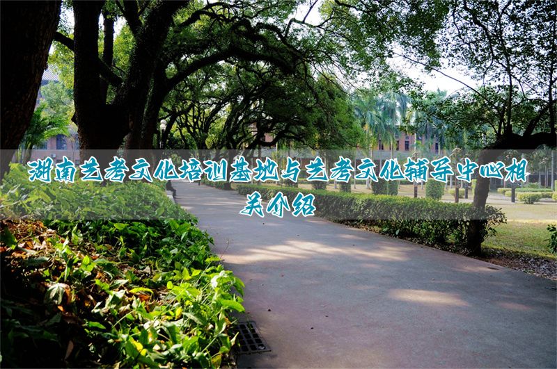 湖南艺考生培训学校_湖南艺考集训机构_