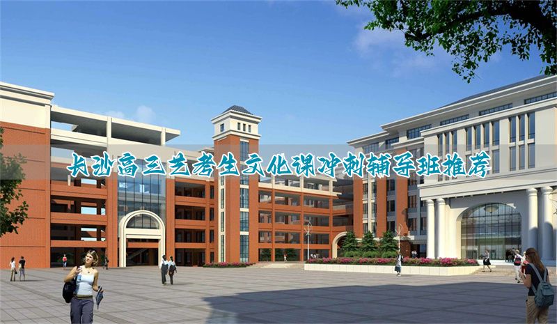_长沙高考艺考集训班_长沙高三艺考生文化培训学校