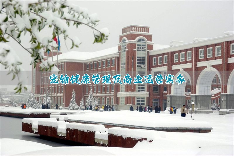 宠物养护经营职业资格要求_宠物养护与经营的职业学校_