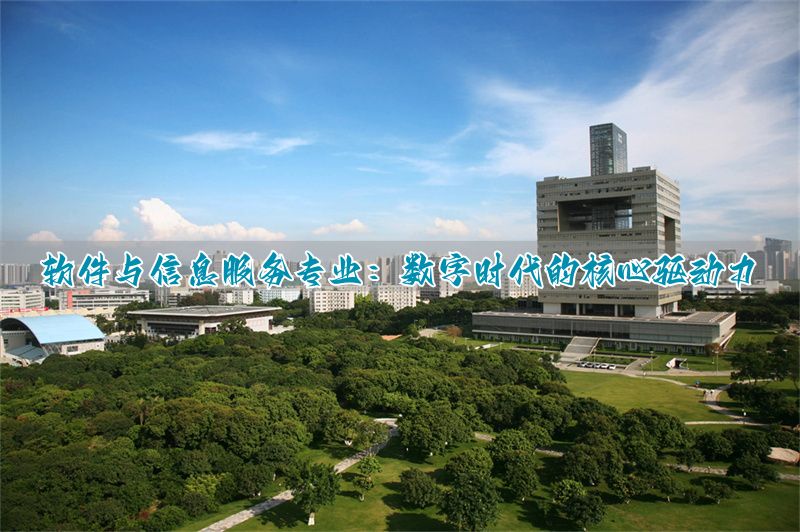 软件专业服务信息包括哪些__社区为老服务服务活动信息