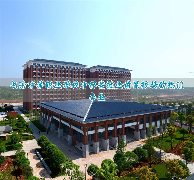 _长沙职业技术学院就业网_长沙什么职业最有前景