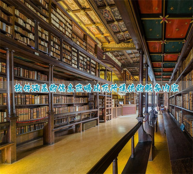 软件服务159852__软件服务信息包括哪些