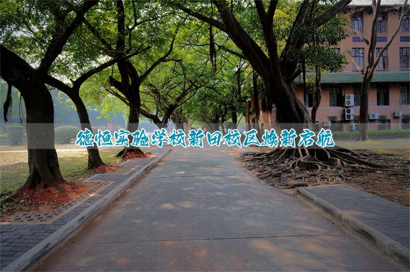 德恒实验学校新田校区焕新启航
