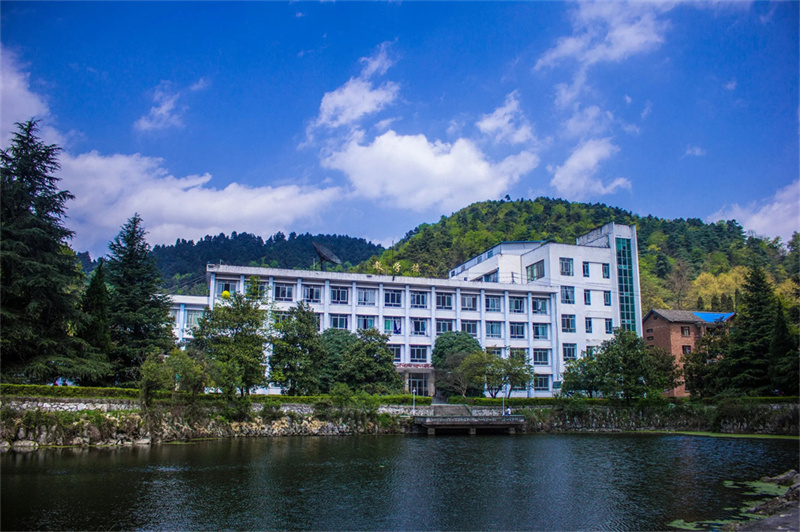 段落表达方法有哪些_段表和页表的区别_