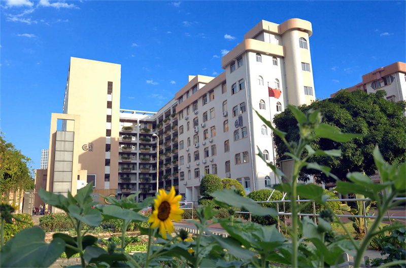 高考确认信息流程__高考确认信息怎么确认