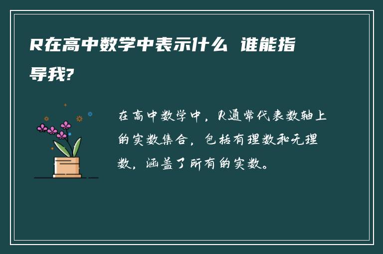 R在高中数学中表示什么 谁能指导我?