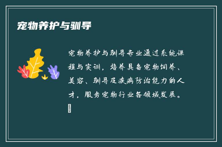 宠物养护与驯导
