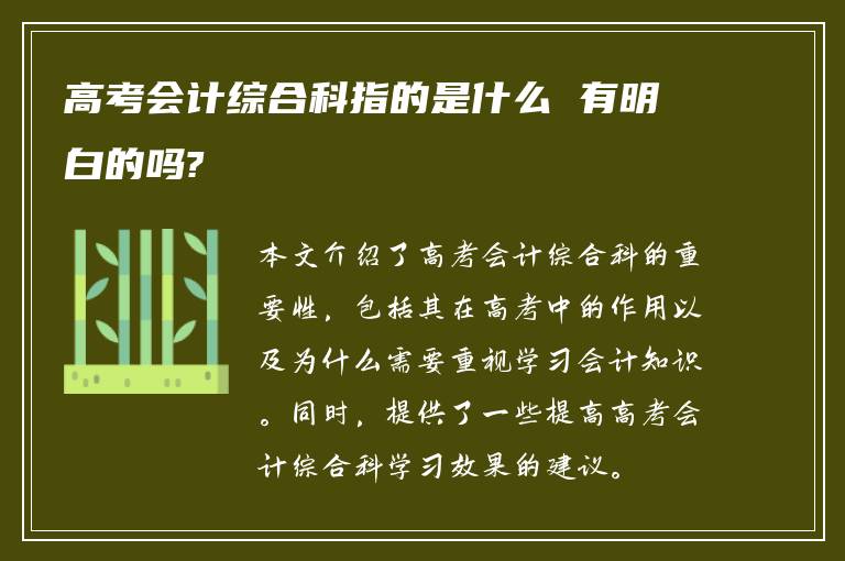 高考会计综合科指的是什么 有明白的吗?