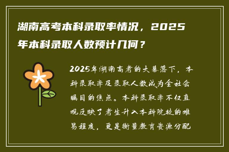 湖南高考本科录取率情况，2025年本科录取人数预计几何？