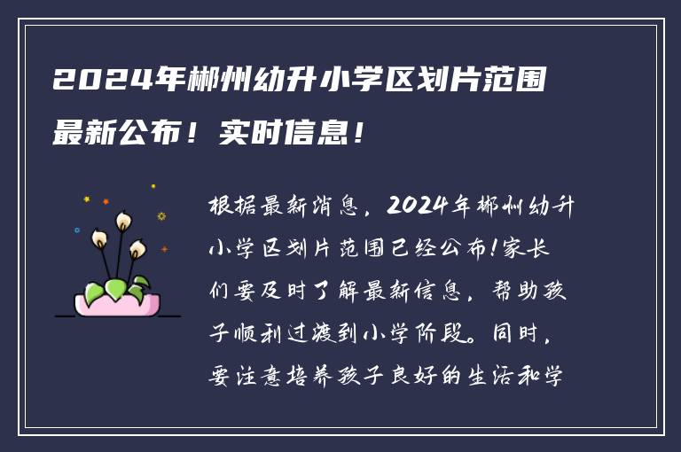 2024年郴州幼升小学区划片范围最新公布！实时信息！