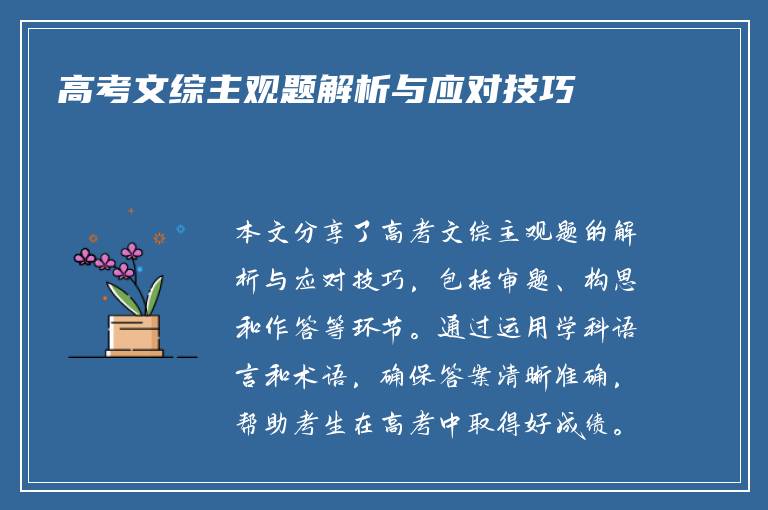 高考文综主观题解析与应对技巧