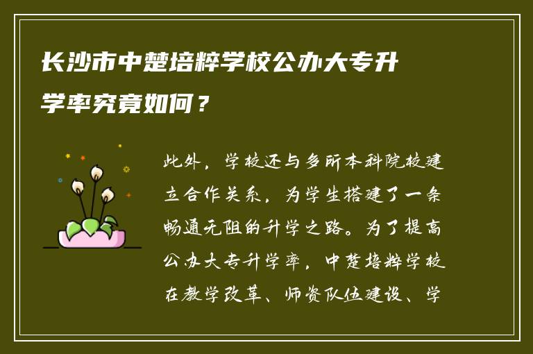 长沙市中楚培粹学校公办大专升学率究竟如何？