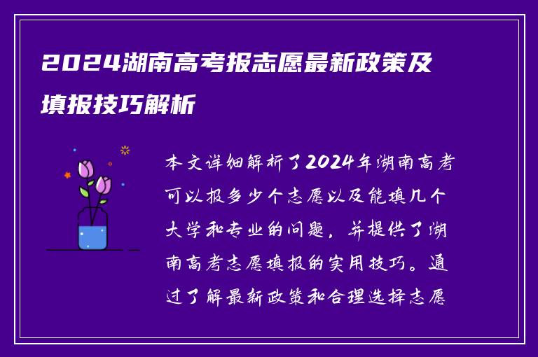 2024湖南高考报志愿最新政策及填报技巧解析