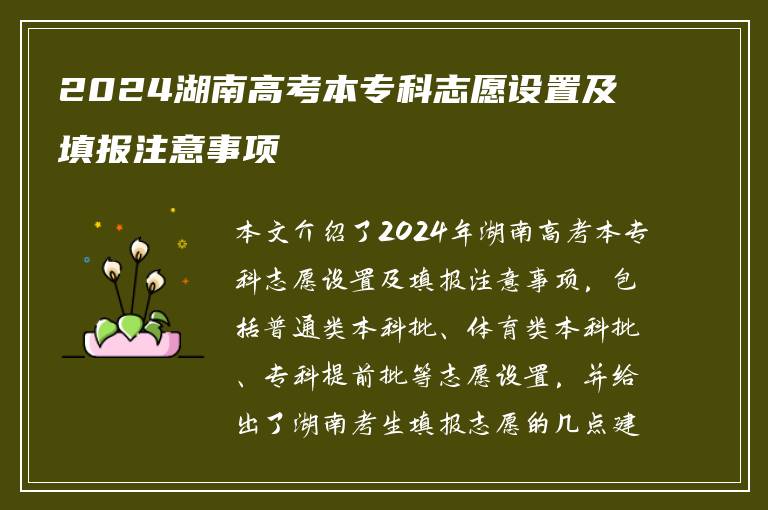 2024湖南高考本专科志愿设置及填报注意事项