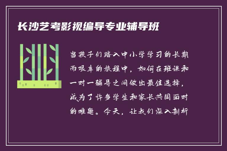 长沙艺考影视编导专业辅导班
