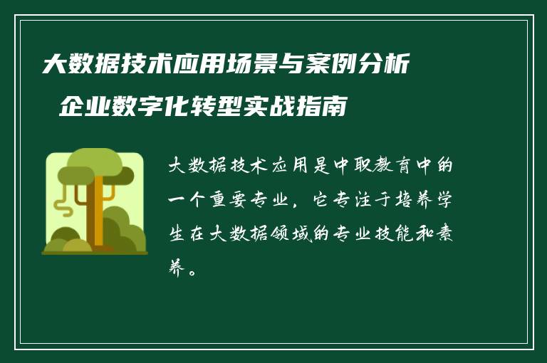 大数据技术应用场景与案例分析 企业数字化转型实战指南
