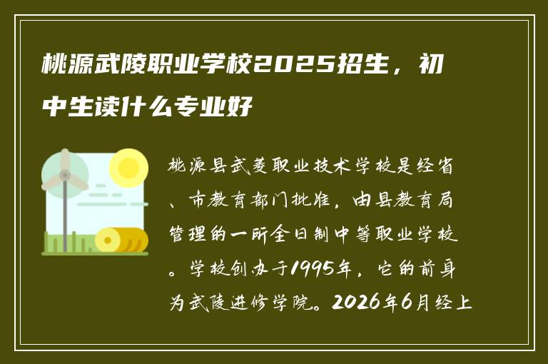 桃源武陵职业学校2025招生，初中生读什么专业好
