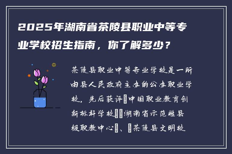 2025年湖南省茶陵县职业中等专业学校招生指南，你了解多少？