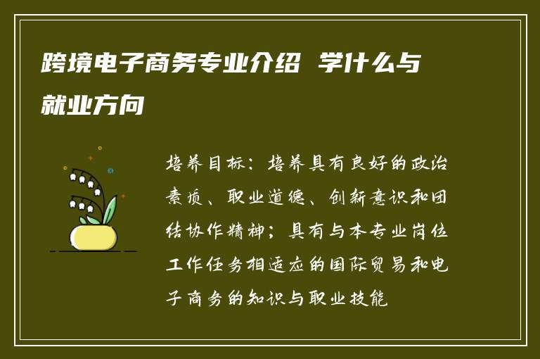 跨境电子商务专业介绍 学什么与就业方向